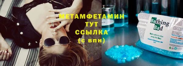 метадон Богданович