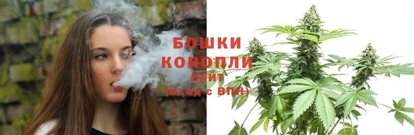 метадон Богданович