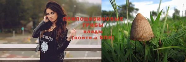 метадон Богданович