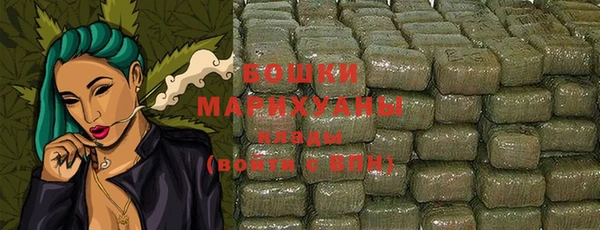 метадон Богданович