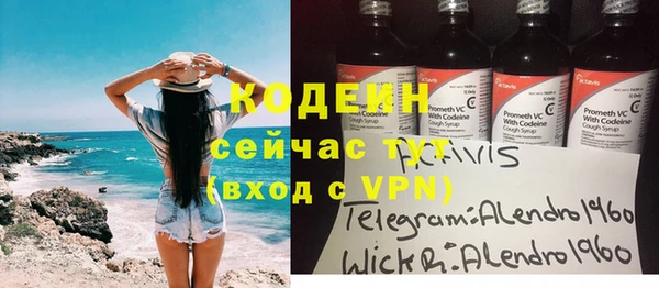 метадон Богданович