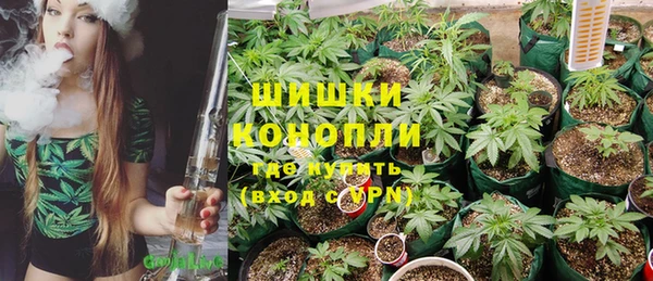 метадон Богданович