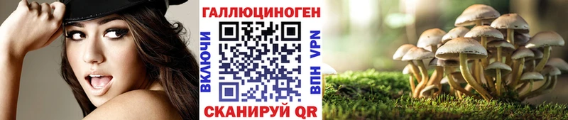 где можно купить наркотик  Егорьевск  Галлюциногенные грибы Psilocybine cubensis 